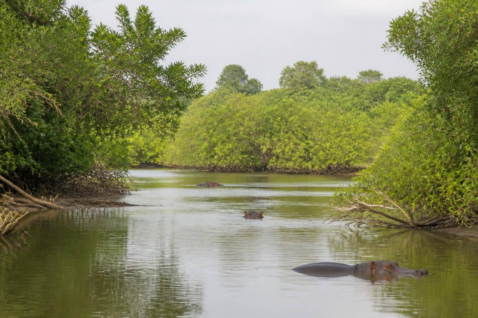 découvrez des destinations nature peu fréquentées idéales pour une déconnexion totale, loin du tourisme de masse et au cœur de paysages préservés.